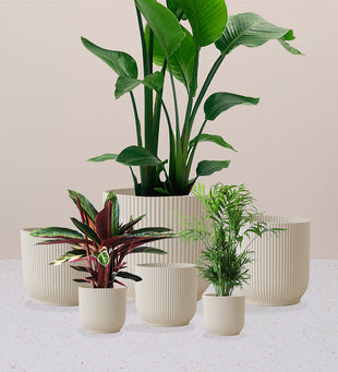 Linen White Elho Vibes Pot