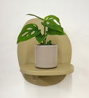 Taupe Pot