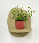 Pink Pot
