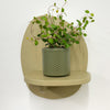 Mini Maidenhair Vine & Pot