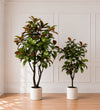 Artificial Magnolia Tree