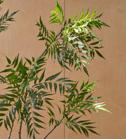 Artificial Mahonia Fortunai