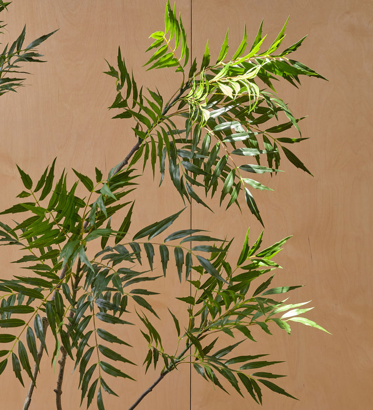 Artificial Mahonia Fortunai