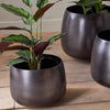 Aged Bronze Pot 20cm