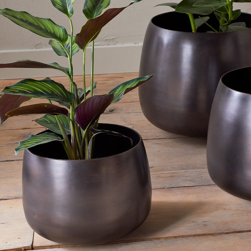 Aged Bronze Pot 20cm