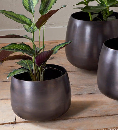 Aged Bronze Pot 20cm