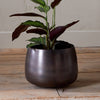 Aged Bronze Pot 20cm