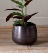 Aged Bronze Pot