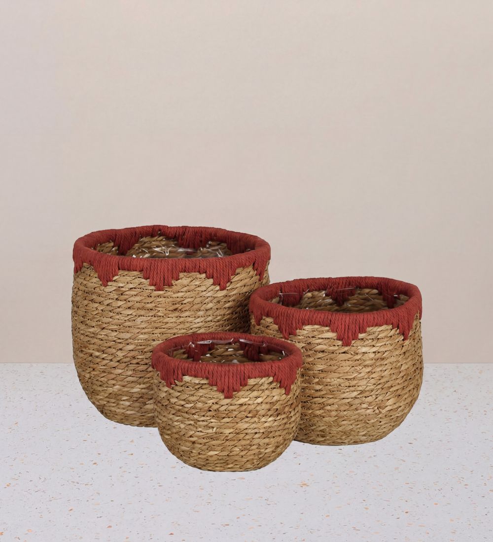 Natural Plant Basket