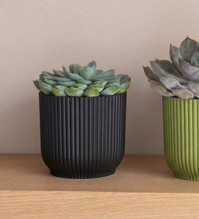 buy succulents online europe Buy succulents online, indoor houseplants delivered nationwide