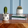 Cacti & Pot Duo
