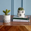 Cacti & Pot Duo