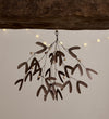 Brass Mistletoe