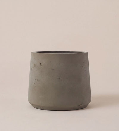 Mocha Concrete Pot 13cm