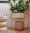 Moritz Planter
