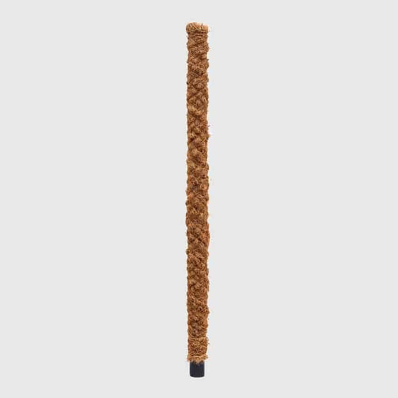 Moss Pole