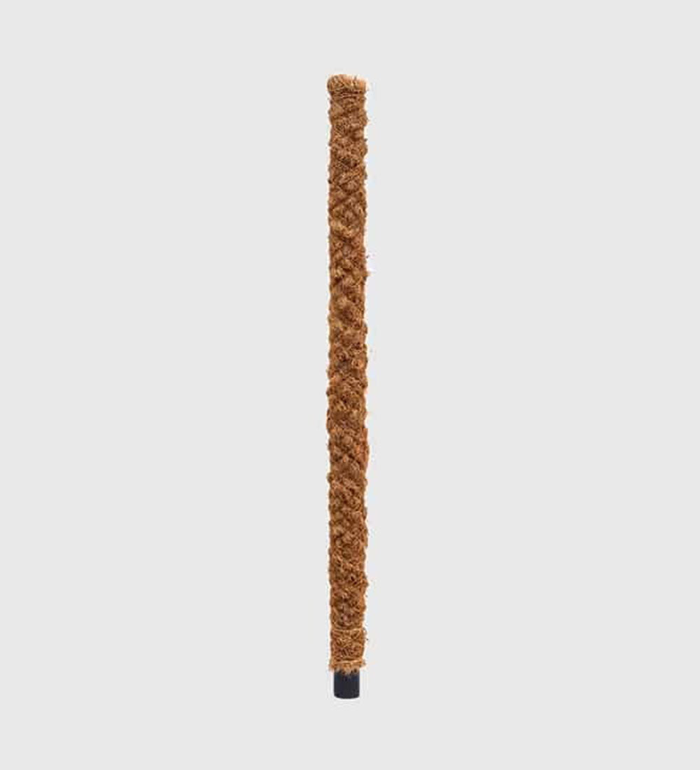 Moss Pole