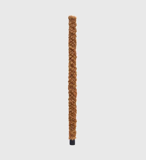 Moss Pole