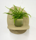 Green Pot