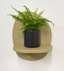 Grey Pot