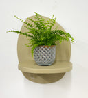 Blue Pot