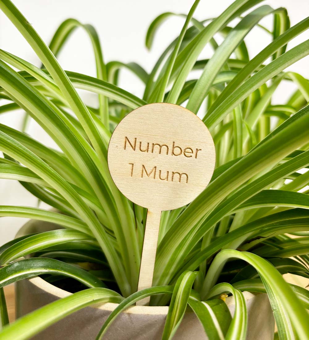 Number 1 Mum Plant Pick