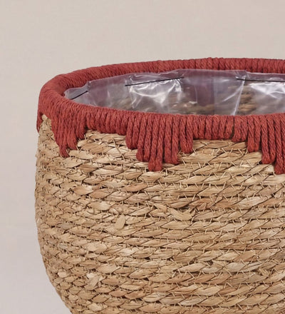 Natural Plant Basket 21cm