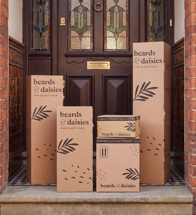 Artificial Boston Fern