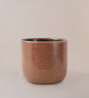 Nine Gloss Old Pink 14cm