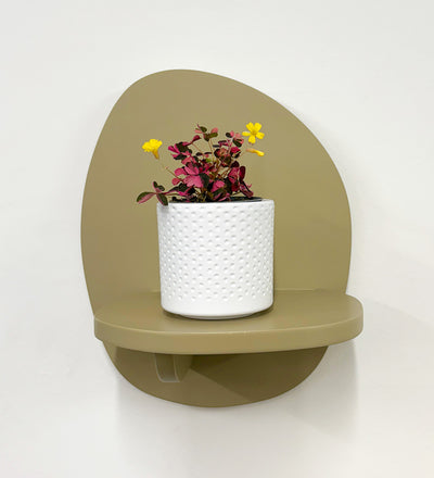 Mini Oxalis Crazy Plum & Pot