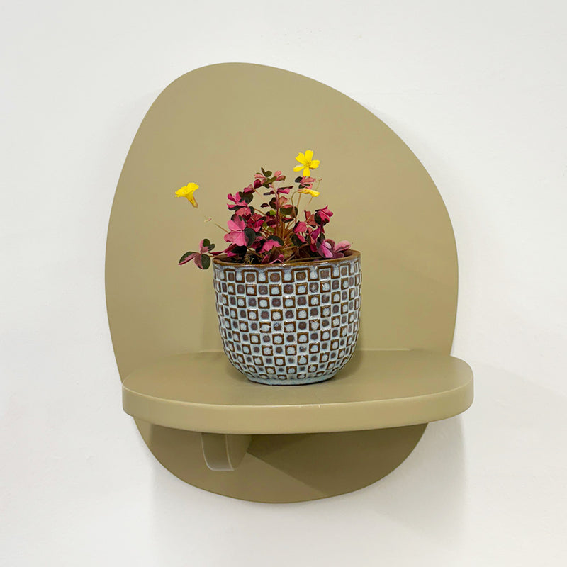Mini Oxalis Crazy Plum & Pot