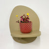 Mini Oxalis Crazy Plum & Pot
