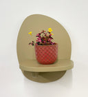 Pink Pot