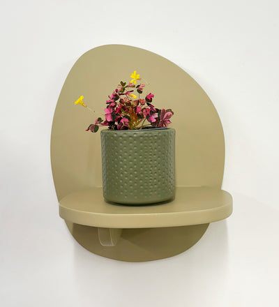 Mini Oxalis Crazy Plum & Pot