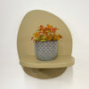 Mini Oxalis Sunset Velvet & Pot
