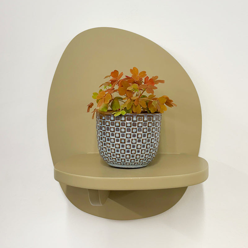 Mini Oxalis Sunset Velvet & Pot