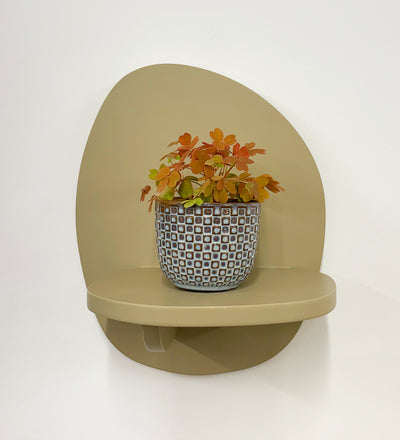 Mini Oxalis Sunset Velvet & Pot