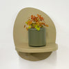 Mini Oxalis Sunset Velvet & Pot