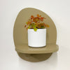 Mini Oxalis Sunset Velvet & Pot