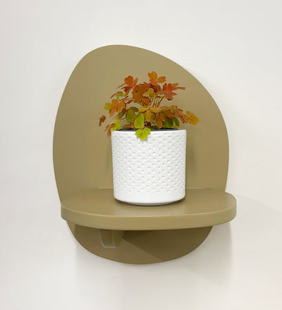 Mini Oxalis Sunset Velvet & Pot