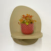 Mini Oxalis Sunset Velvet & Pot