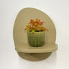 Mini Oxalis Sunset Velvet & Pot