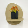Mini Oxalis Sunset Velvet & Pot