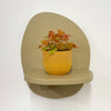 Mini Oxalis Sunset Velvet & Pot