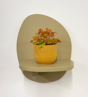 Mini Oxalis Sunset Velvet & Pot