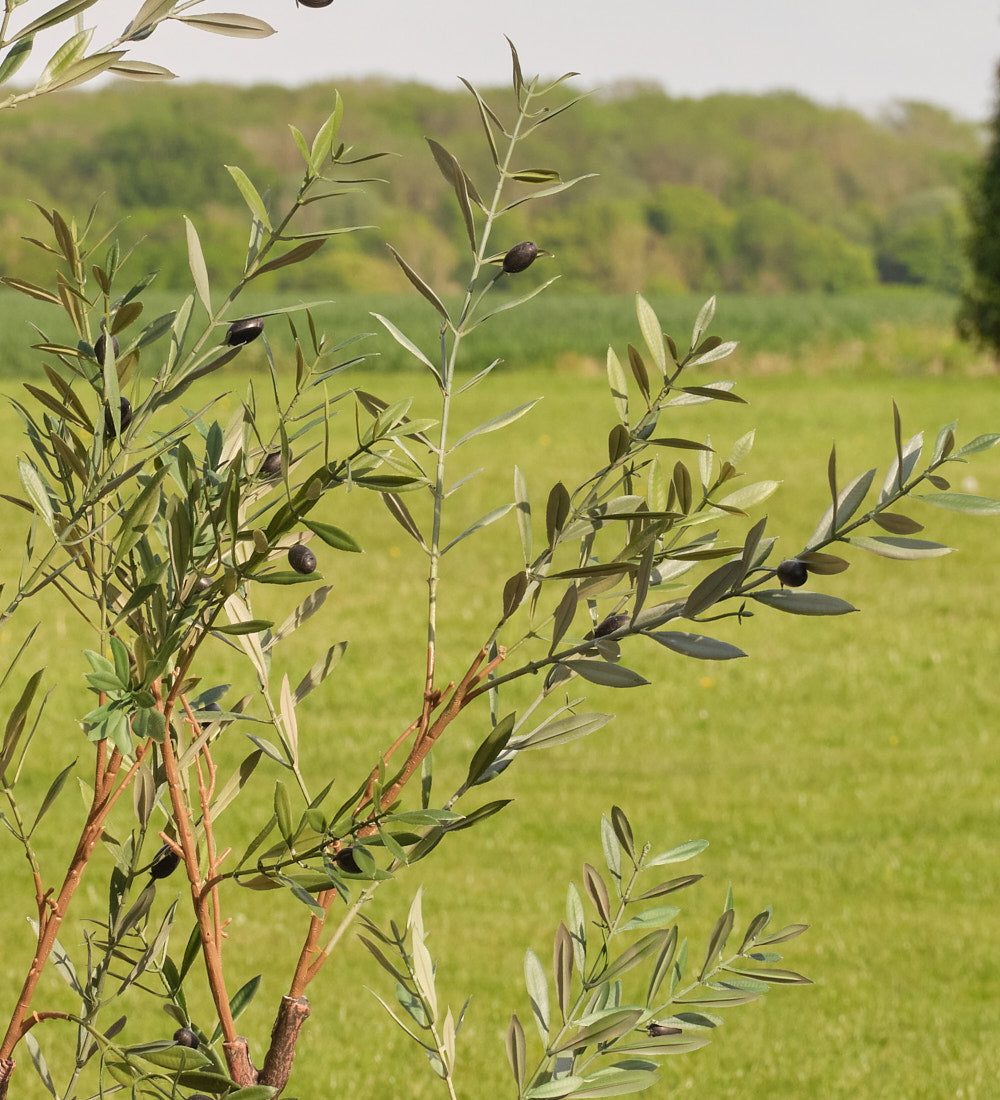 Artificial Olive Tree (UV protected)