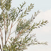 Artificial Olive Tree (UV protected)