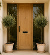 Pair of Large Olive Tree