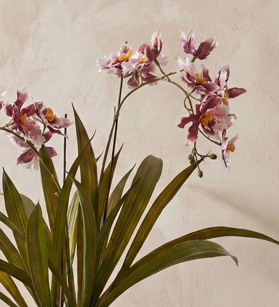 Artificial Burgundy Orchid & pot