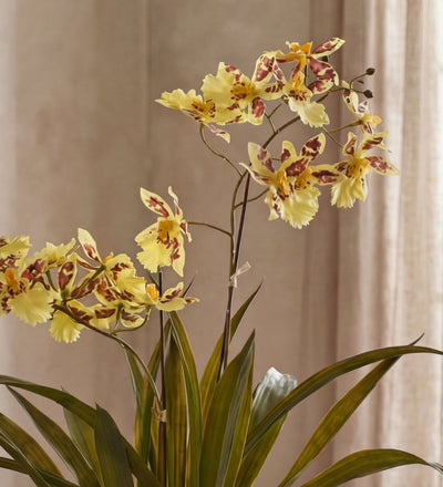 Artificial Yellow Orchid & Pot